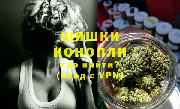 ПСИЛОЦИБИНОВЫЕ ГРИБЫ Алзамай
