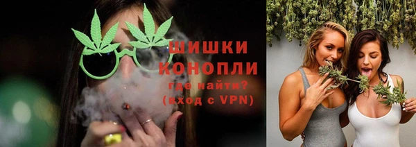 ПСИЛОЦИБИНОВЫЕ ГРИБЫ Алзамай