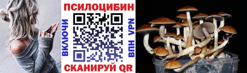 дарк нет состав Казань Псилоцибиновые грибы Psilocybine cubensis купить наркоту